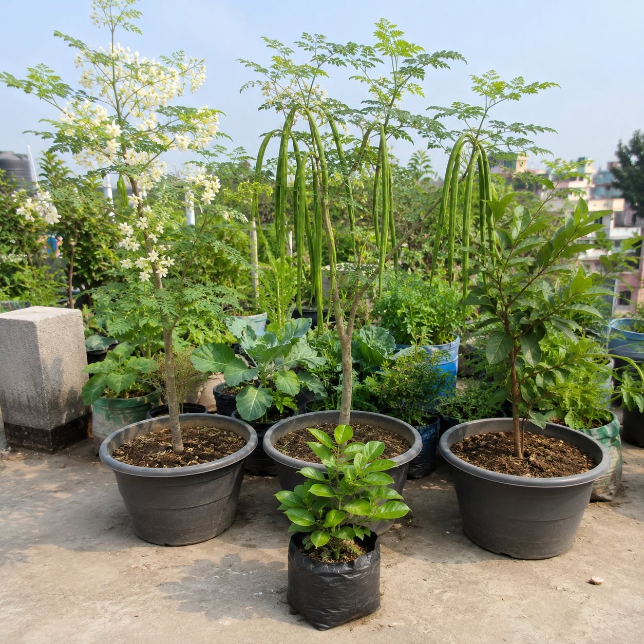 প্যাকিং বা ডেলিভারি